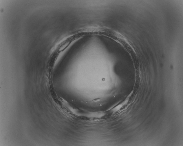 X0000076351304200610161749