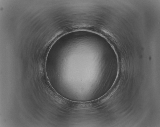 X0000076351305200610161749