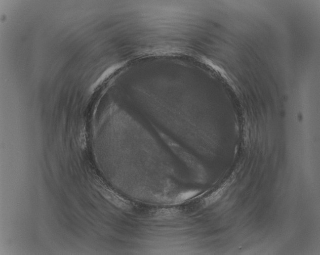 X0000076351306200610161749