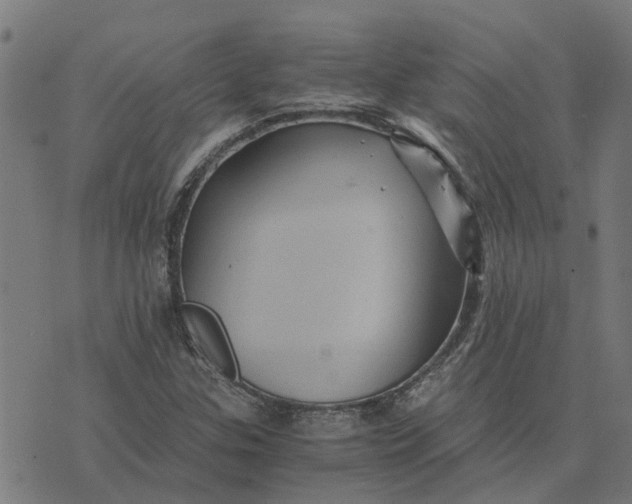 X0000076351307200610161749