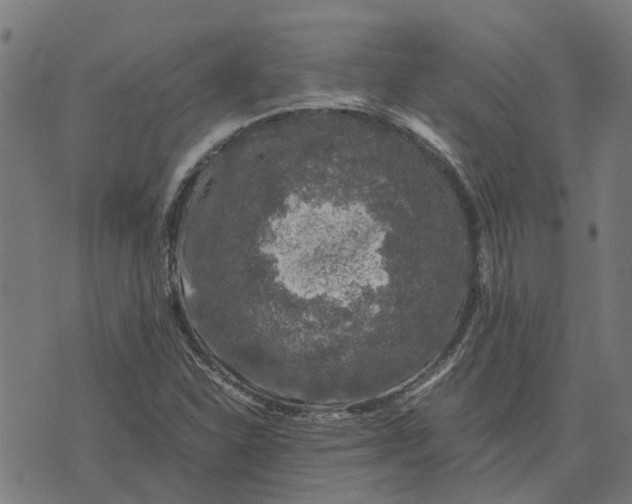 X0000076351310200610161749