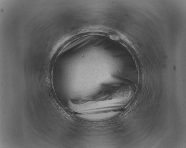 X0000076351312200610161749