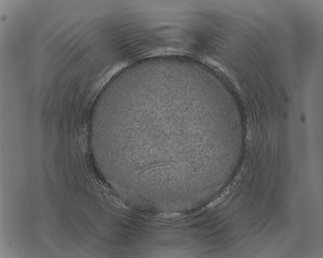 X0000076351313200610161749