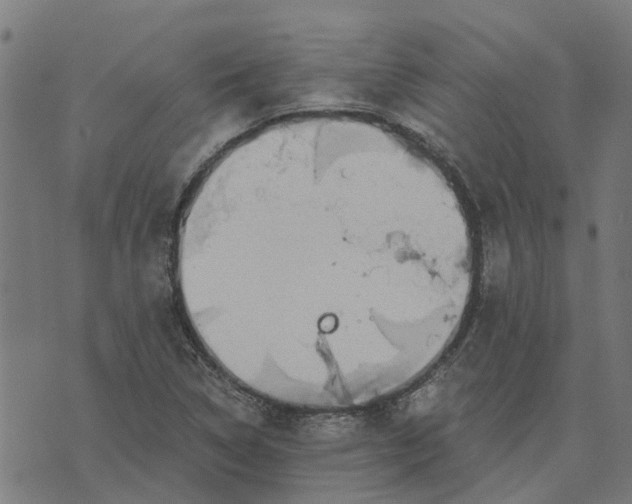 X0000076351314200610161749