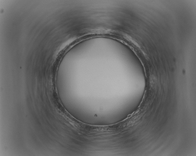 X0000076351315200610161749