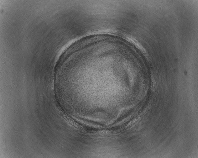 X0000076351316200610161749