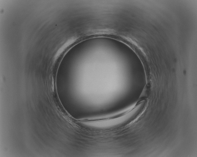 X0000076351317200610161749