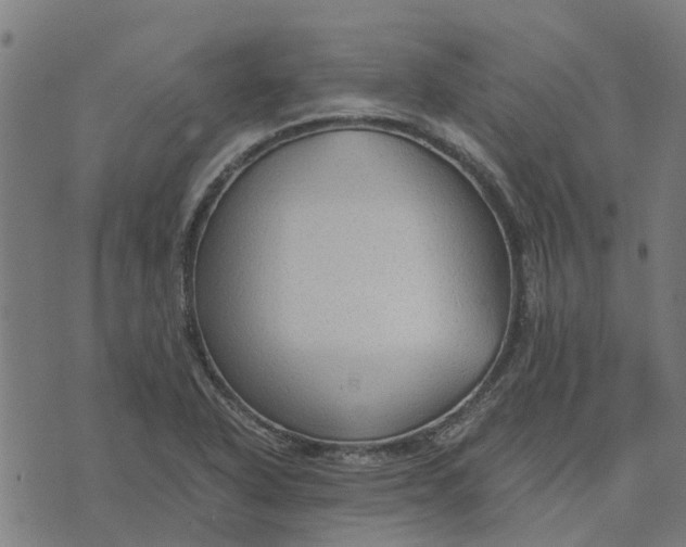 X0000076351318200610161749