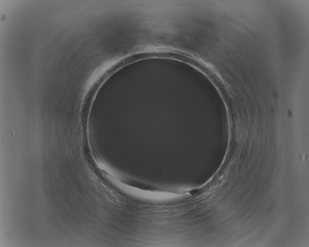 X0000076351319200610161749