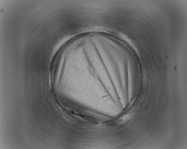 X0000076351320200610161749