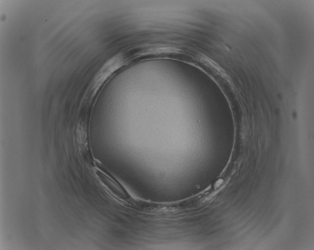 X0000076351321200610161749