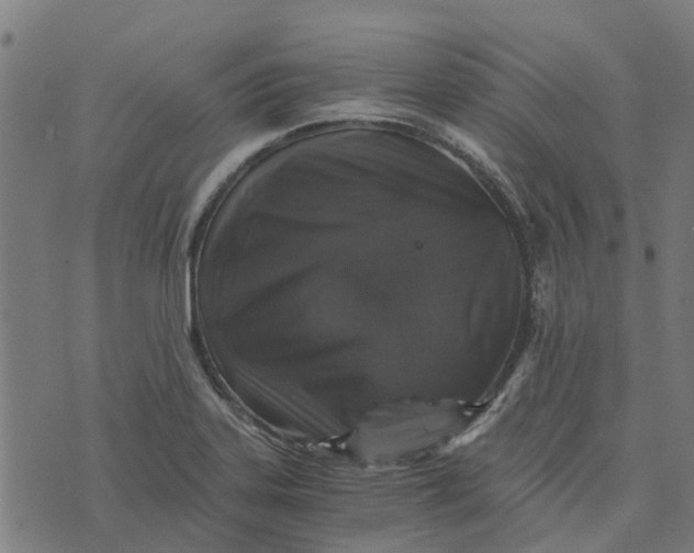 X0000076351323200610161749