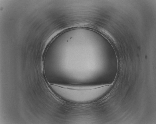 X0000076351324200610161749