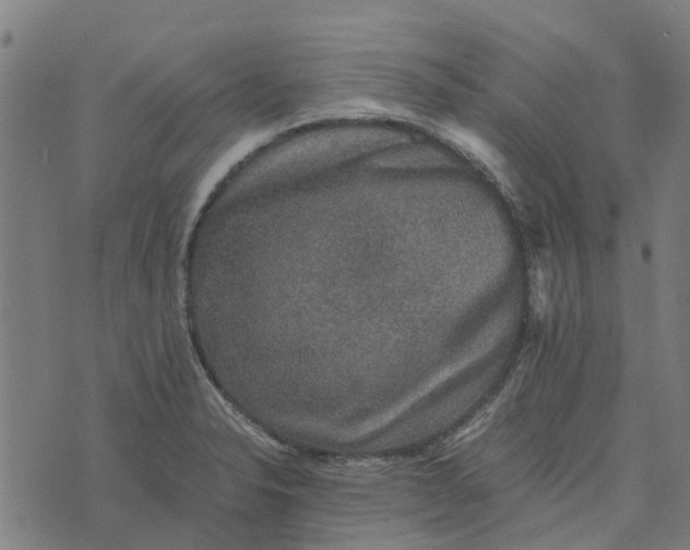 X0000076351326200610161749