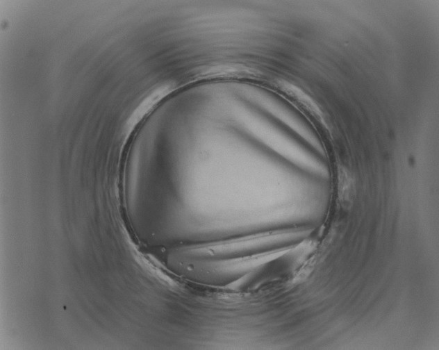 X0000076351330200610161749