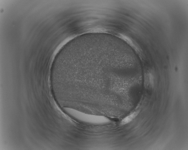 X0000076351331200610161749