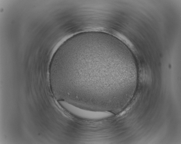 X0000076351332200610161749