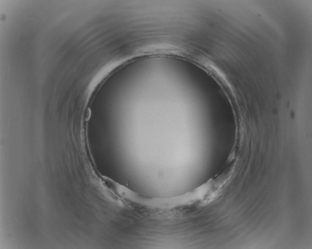 X0000076351336200610161749