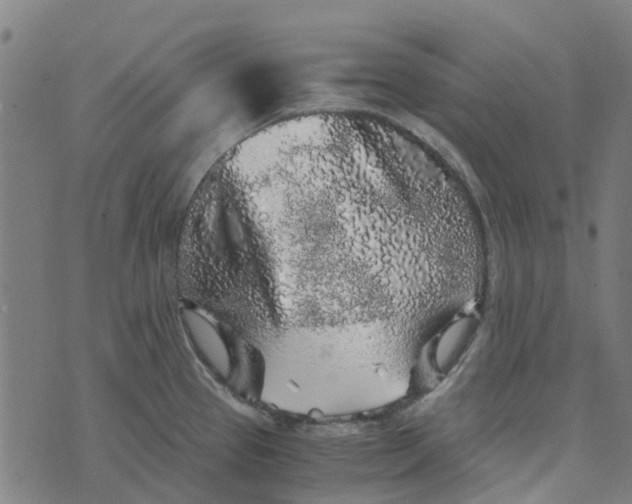 X0000076351337200610161749