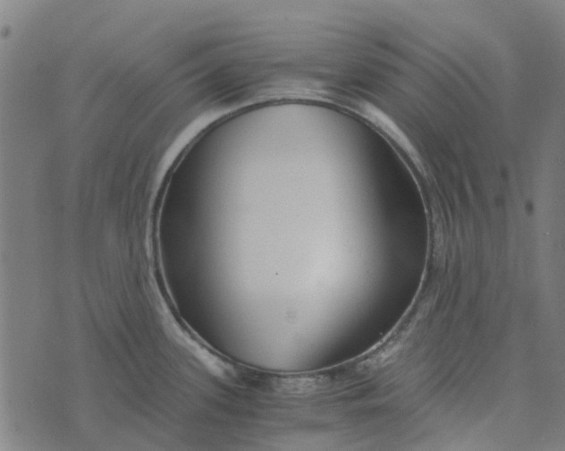 X0000076351339200610161749