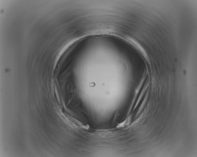 X0000076351340200610161749