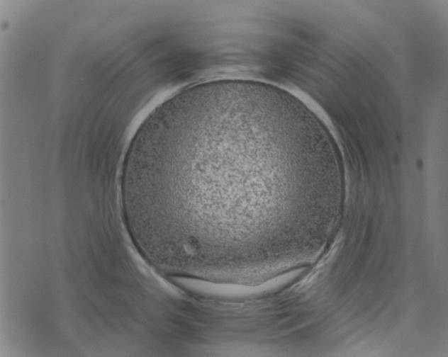 X0000076351341200610161749