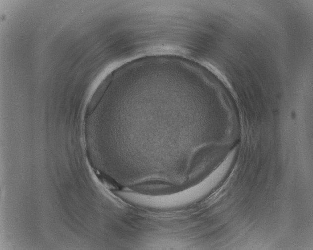 X0000076351342200610161749