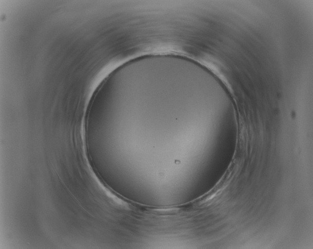 X0000076351343200610161749