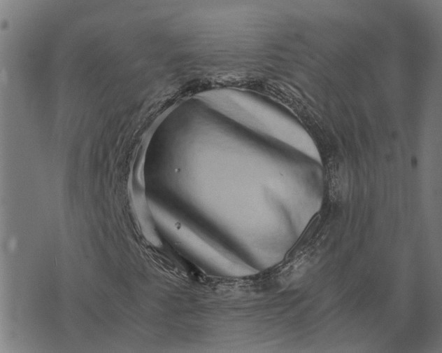 X0000076351345200610161748