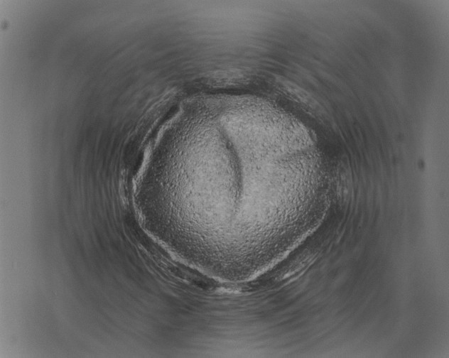 X0000076351346200610161748