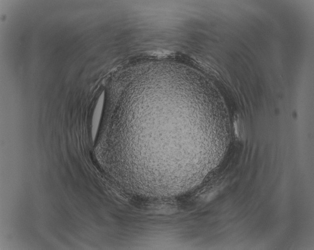 X0000076351347200610161748