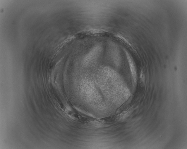 X0000076351348200610161748