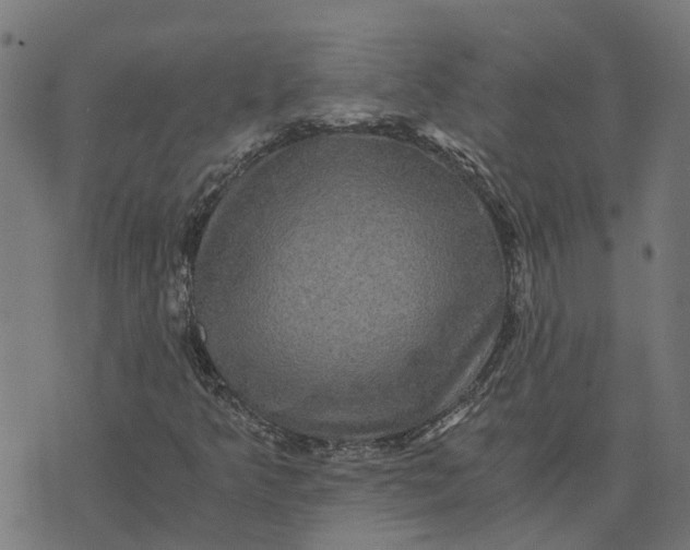 X0000076351349200610161748