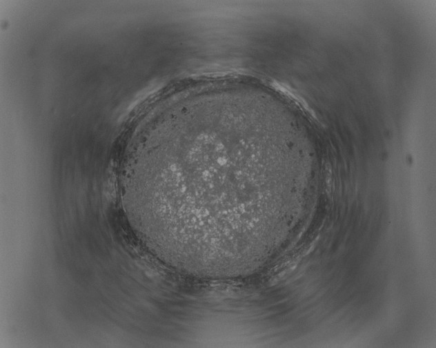 X0000076351350200610161748