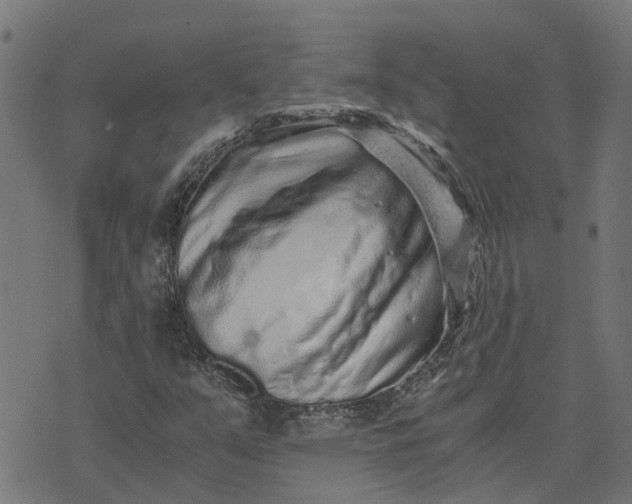 X0000076351351200610161748