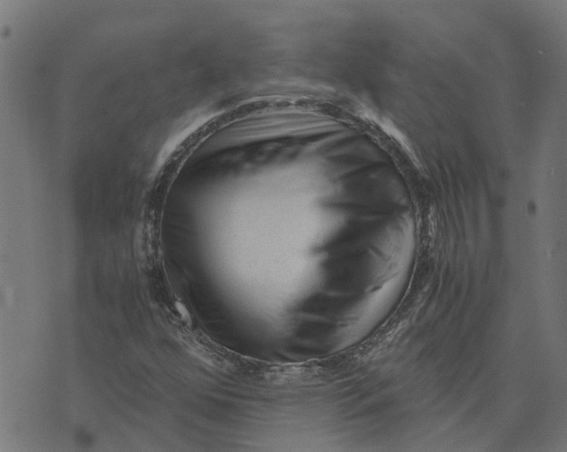 X0000076351352200610161748