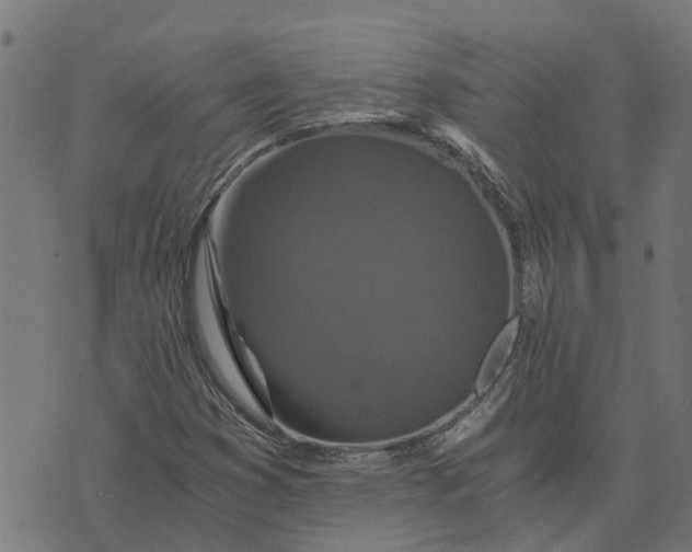 X0000076351353200610161748