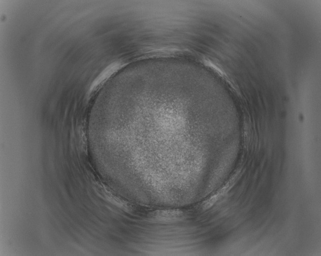 X0000076351354200610161748