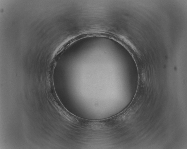 X0000076351356200610161748