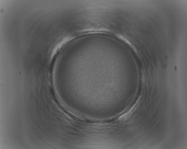 X0000076351357200610161748