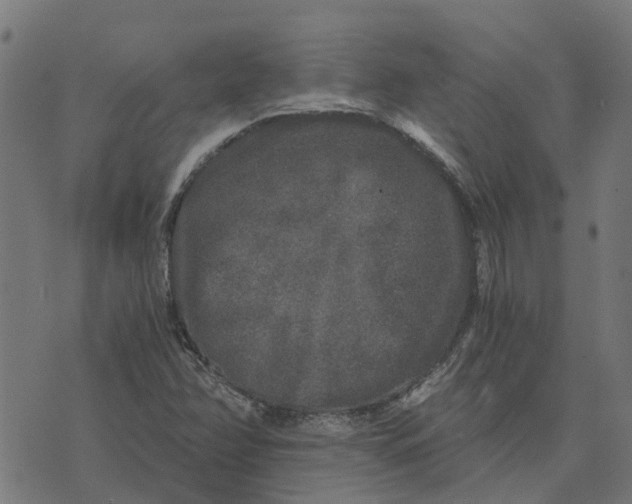 X0000076351358200610161748