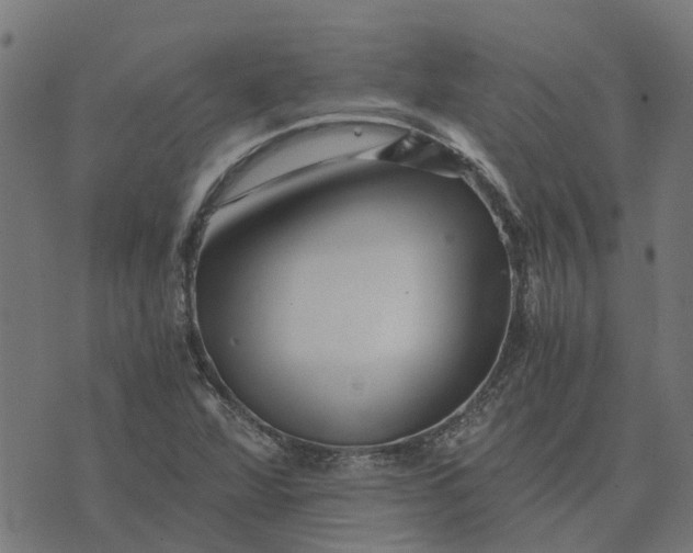 X0000076351360200610161748