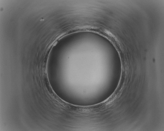 X0000076351361200610161748