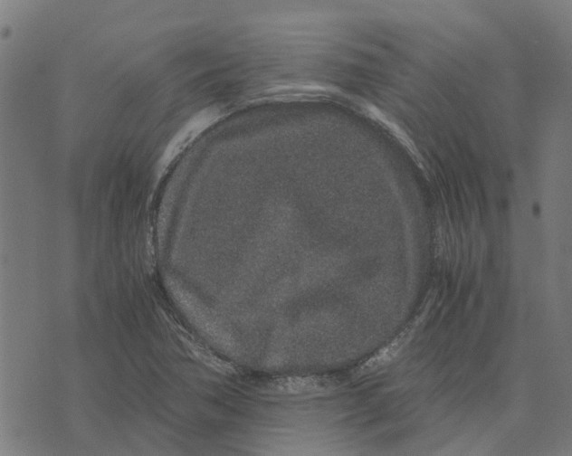 X0000076351362200610161748