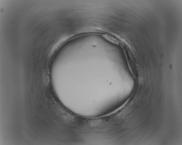 X0000076351363200610161748