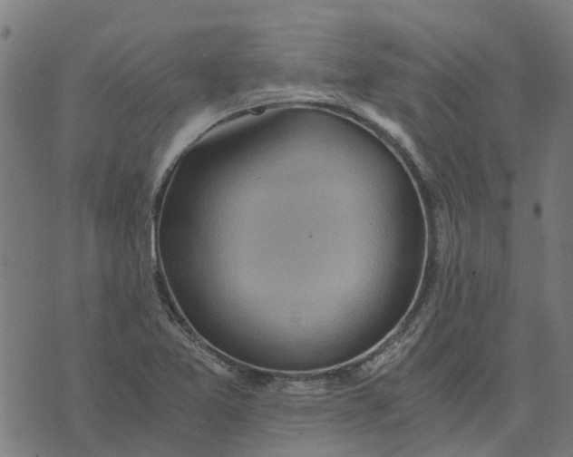 X0000076351365200610161748