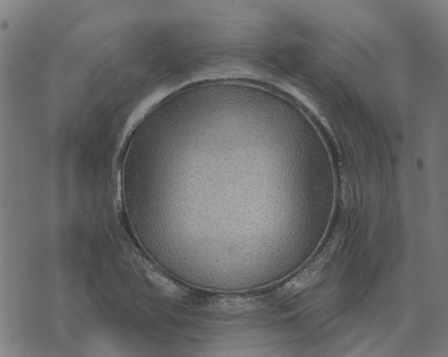 X0000076351366200610161748