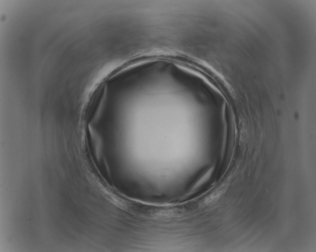 X0000076351367200610161748