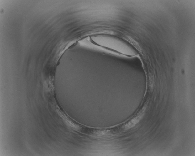 X0000076351369200610161748