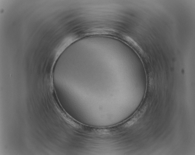 X0000076351370200610161748